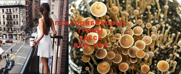 каннабис Осташков