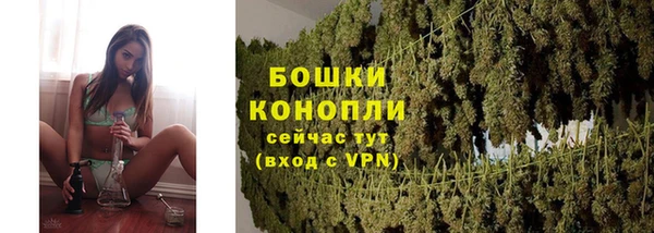 гидропоника Гусиноозёрск